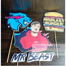 Набір топерів "Mr.Beast"