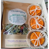 Подарунковий набір чаїв "Сімфонія саду"