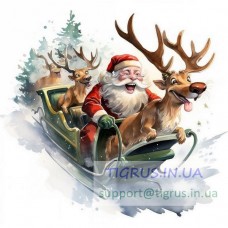 Вафельна картинка "Санта" №8